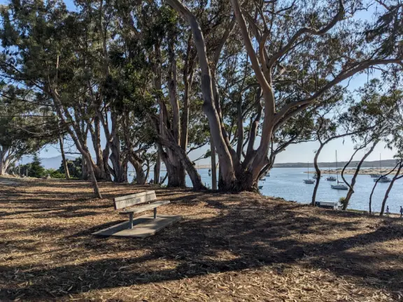 Views from above the estuary, of the sailboats and blue blue water.