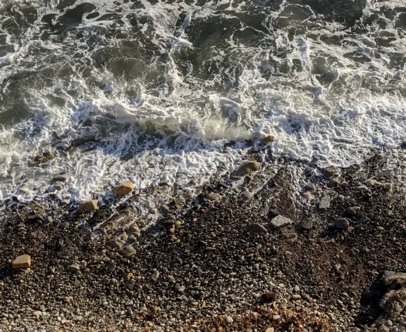 Half-timbered house over the ocean, with windmill and decorative lighthouse, and in summer, begonia house.