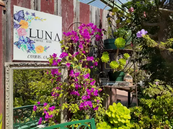 A pretty beachside town, with a wooden pier and wide windy beach with perfect views of Morro Rock, and colorful houses with gardens, backed by gently-sloping hills.