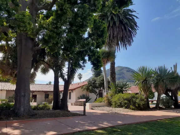 A main street of late 19th century storefronts, popular cafes, and a hip college scene. Recently, suffering an epidemic of homelessness relating to mental health problems.