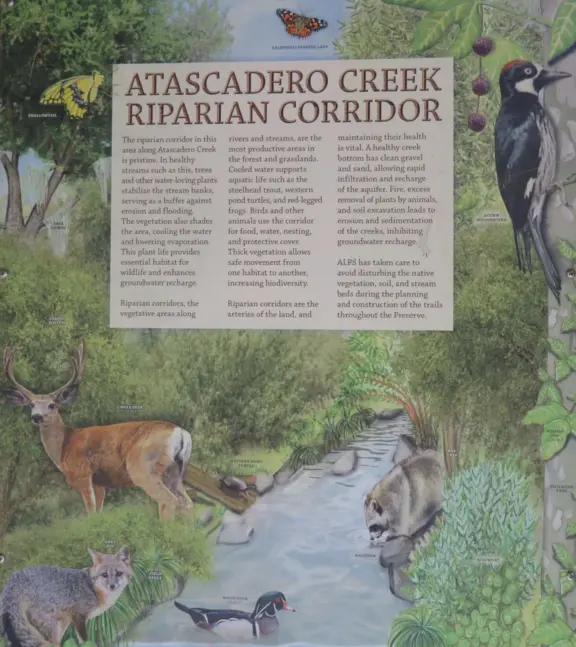 Plaque about the creek. There are red-legged frogs, wood ducks, western pond turtles, and steelhead trout. 