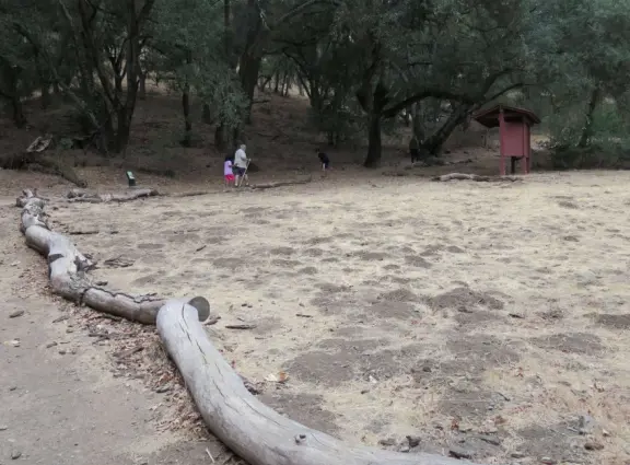 Shady 1.5 mile loop trail that winds gradually up a hill, with good views to the next hill, and awesome spooky oak forest with lichen, Spanish moss (actually lace lichen), and yellow grasses.