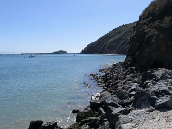 Harbor beach with hundreds of pelicans and sailboats bobbing in the water. Stunning views, seals barking on a floating dock, and outdoor cafe on Harford pier.