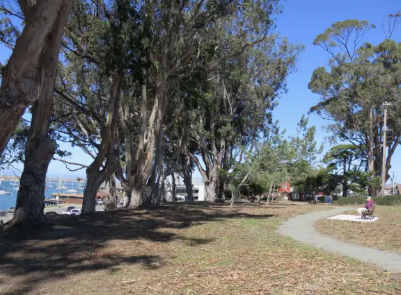 Views from above the estuary, of the sailboats and blue blue water.