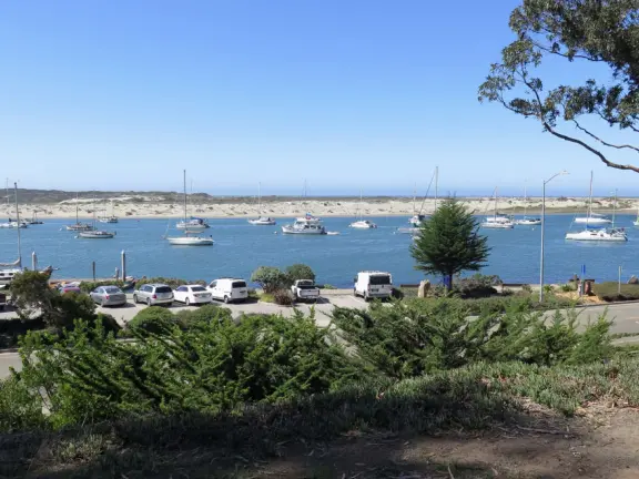 Views from above the estuary, of the sailboats and blue blue water.