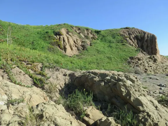 Point of rocky tidepools, with homemade garden on the hill above. Nice for a long beach walk!