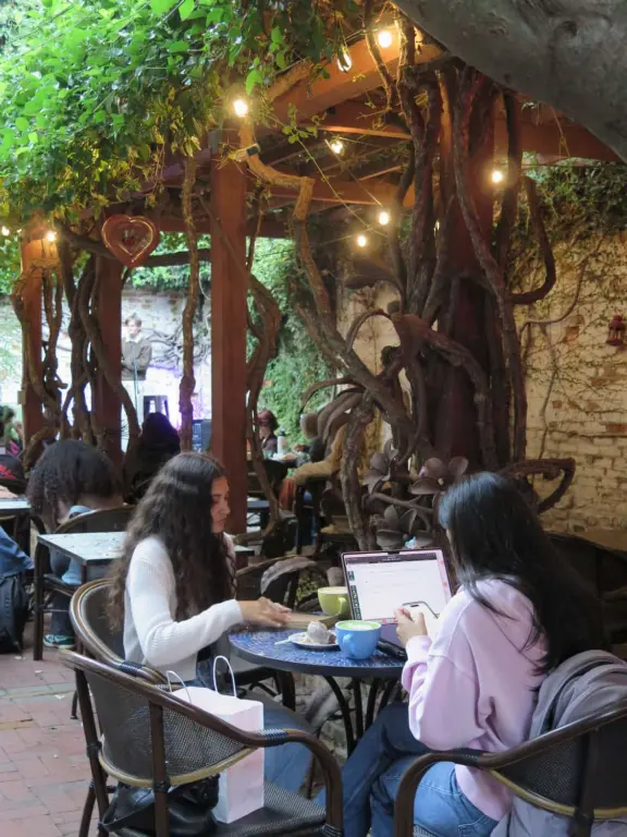 Peaceful night in the back garden of Linnaea's Cafe. 