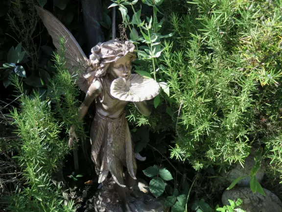 Historic cottages and lush trees of all different shades of green. Come July-October. Check the webcam for weather because it's not nice in thick gloom!