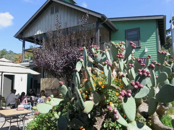 Historic cottages and lush trees of all different shades of green. Come July-October. Check the webcam for weather because it's not nice in thick gloom!