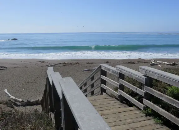 Rugged, windswept beach with large driftwood, kelp balls, and 1.5km wooden boardwalk.