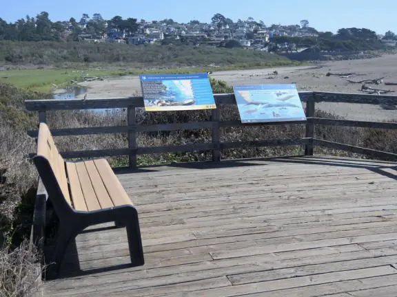 Rugged, windswept beach with large driftwood, kelp balls, and 1.5km wooden boardwalk.