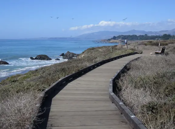 Rugged, windswept beach with large driftwood, kelp balls, and 1.5km wooden boardwalk.