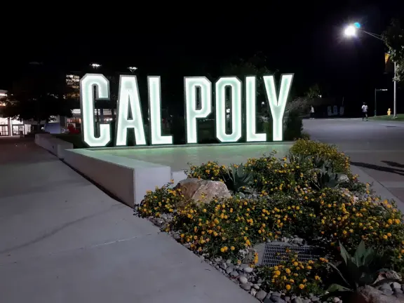 Hilly, sunny campus with tall, impressive trees and green lawns. A hands-on learning university.