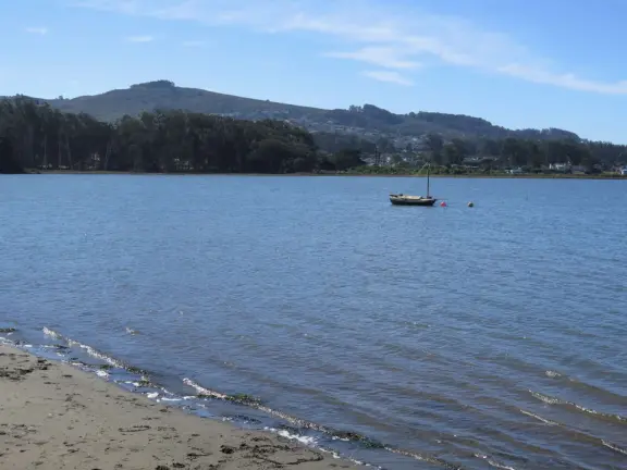 A tiny stretch of boardwalk in a beautiful setting on the estuary, with a coffee shop with a sunny patio facing the water, and cute cafes where you can relax.