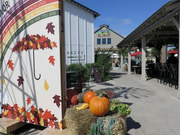 Coffee shop, food court, ice cream and pastry shops, brewery, gift shop and market, outdoor public spaces with fire pit and tables and selfie spots galore, farm with donkeys, goats, and alpaca! Also called San Luis Ranch.