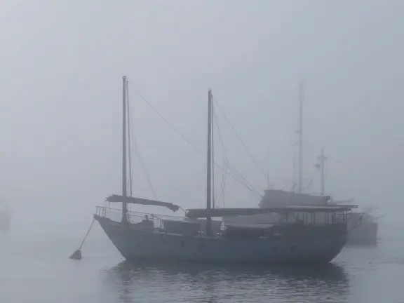 A delightful rock, beautiful wildlife, peaceful idyllic estuary, imaginative playground, and colorful little town.