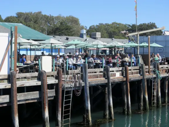 A delightful rock, beautiful wildlife, peaceful idyllic estuary, imaginative playground, and colorful little town.