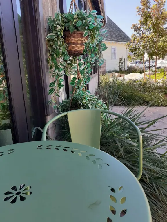 Coffee shop, food court, ice cream and pastry shops, brewery, gift shop and market, outdoor public spaces with fire pit and tables and selfie spots galore, farm with donkeys, goats, and alpaca! Also called San Luis Ranch.