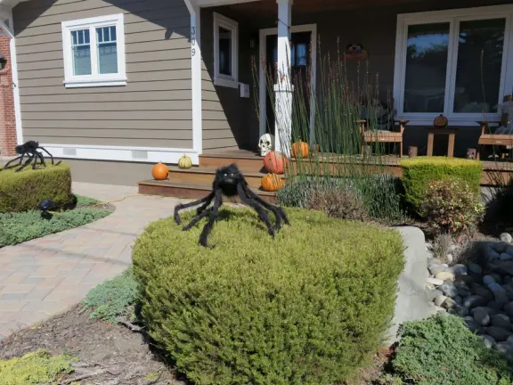 Large lush park with tall tropical trees, attractive bandstand, cute toddler playground, historic house and schoolhouse, swinging bridge to the main street, and neighborhood with cottages.