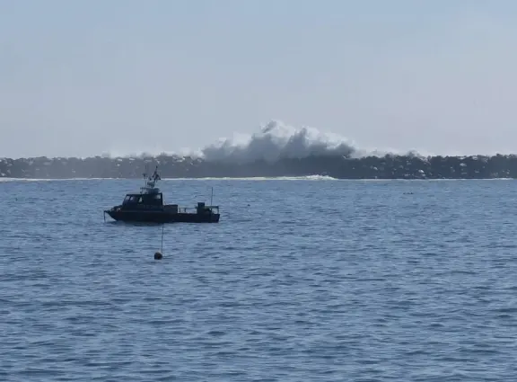 Harbor beach with hundreds of pelicans and sailboats bobbing in the water. Stunning views, seals barking on a floating dock, and outdoor cafe on Harford pier.