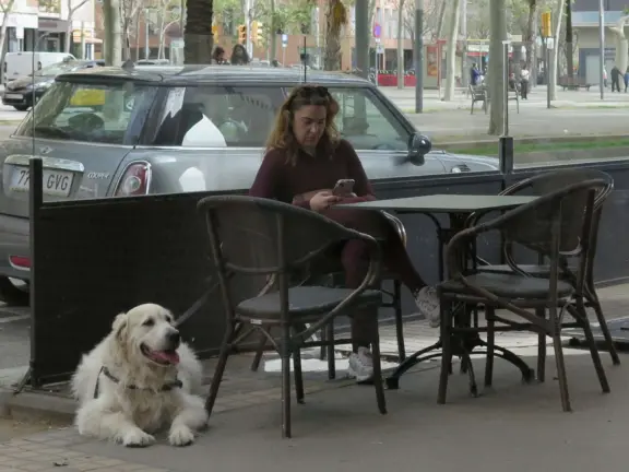 APRIL 25, 2026 BLOG POST