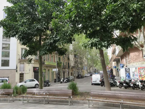 A modern, revitalized neighborhood with glass highrise hotels and offices, but intense sewer smells. Rambla del Poblenou is a good alternative to La Rambla, with locals rather than tourists.