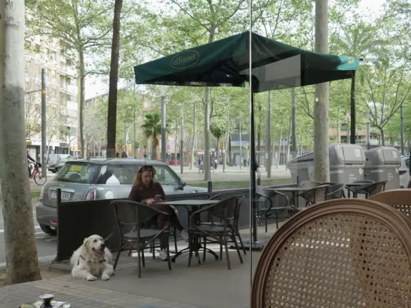 A modern, revitalized neighborhood with glass highrise hotels and offices, but intense sewer smells. Rambla del Poblenou is a good alternative to La Rambla, with locals rather than tourists.