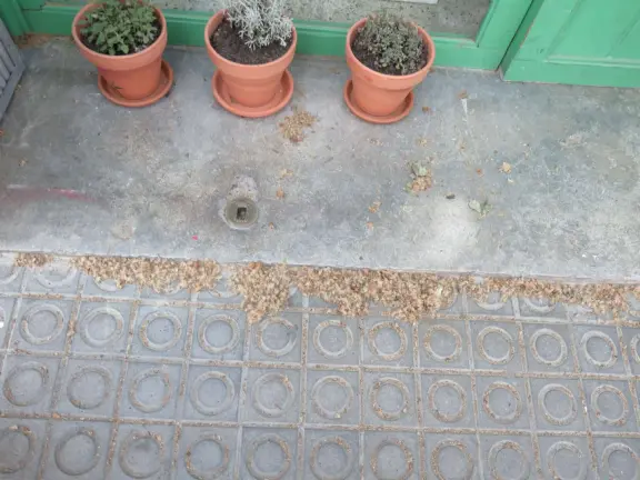 A modern, revitalized neighborhood with glass highrise hotels and offices, but intense sewer smells. Rambla del Poblenou is a good alternative to La Rambla, with locals rather than tourists.