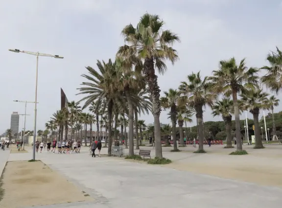 A flat, straight beach with a wide boardwalk where fitness reigns supreme! It reminded me of Venice Beach in California.