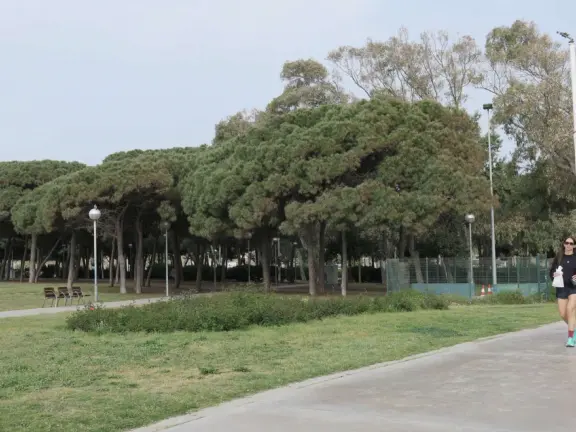 A flat, straight beach with a wide boardwalk where fitness reigns supreme! It reminded me of Venice Beach in California.