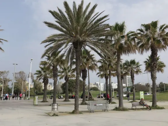 A flat, straight beach with a wide boardwalk where fitness reigns supreme! It reminded me of Venice Beach in California.