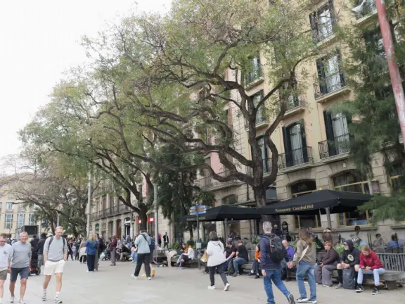 A touristy area. Narrow medieval streets and crowded squares with vendors.