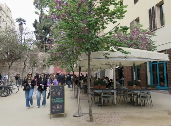 A touristy area. Narrow medieval streets and crowded squares with vendors.