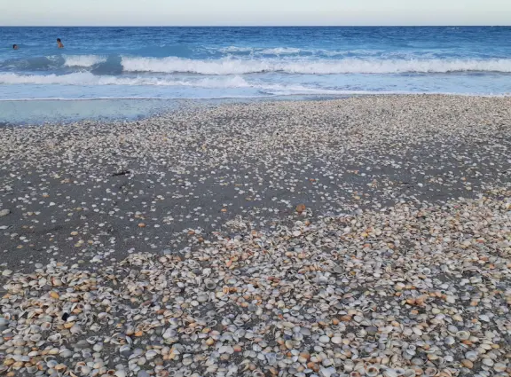 Beach with cute pier and aquamarine water.