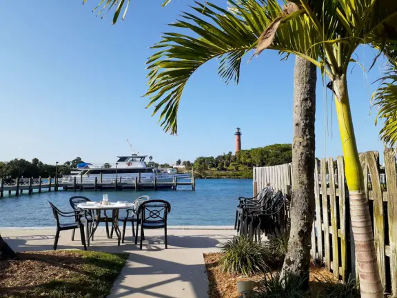 Lime green palm, and a table by the water. 
