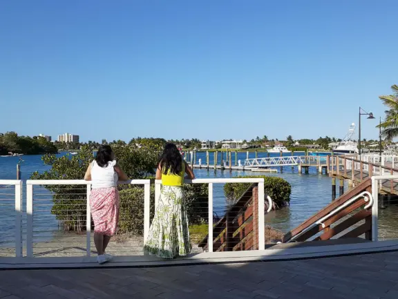 Looking down at the mangroves. 