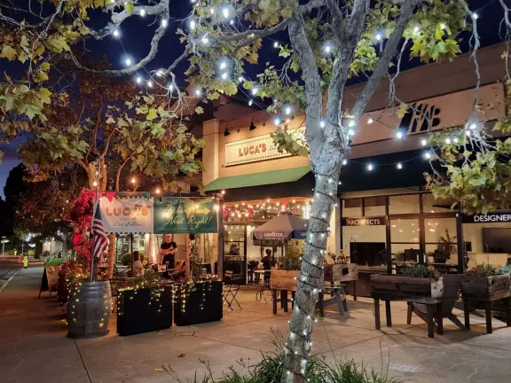 Nice little main street, with cafes, pretty storefronts, park, swinging bridge over a creek with tropical vegetation, and neighborhood with white picket fences and gardens.