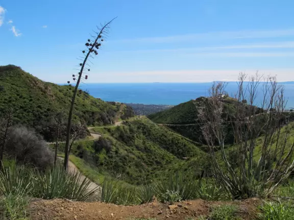 Ravishing views on this steep, winding road. Green, sunny valleys and the sea.