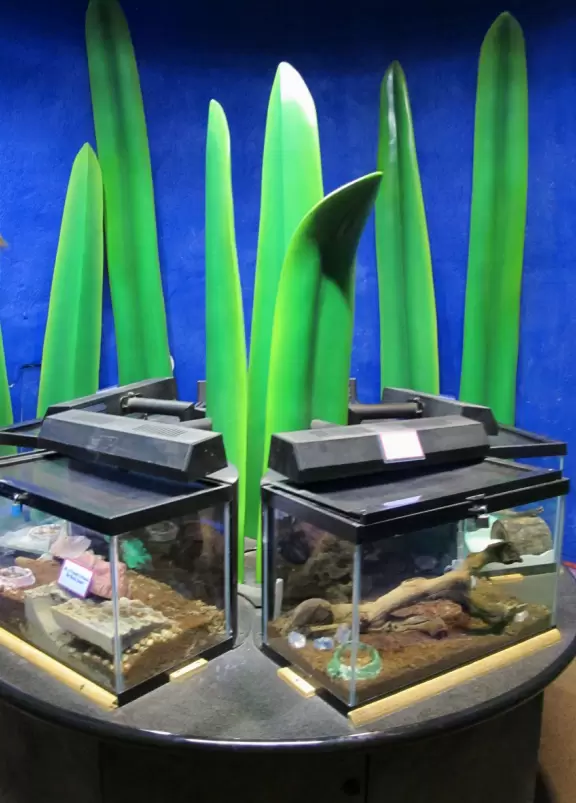 Great kids museum with high-tech, unusual activities and plenty to do outdoors as well. Hours of fun!