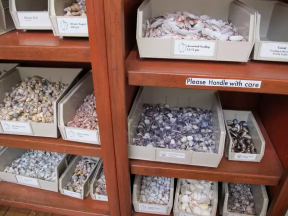 Great kids museum with high-tech, unusual activities and plenty to do outdoors as well. Hours of fun!