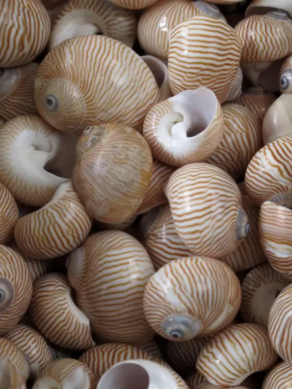 Great kids museum with high-tech, unusual activities and plenty to do outdoors as well. Hours of fun!