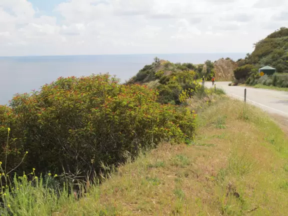 Panoramic views over Malibu's coastline.