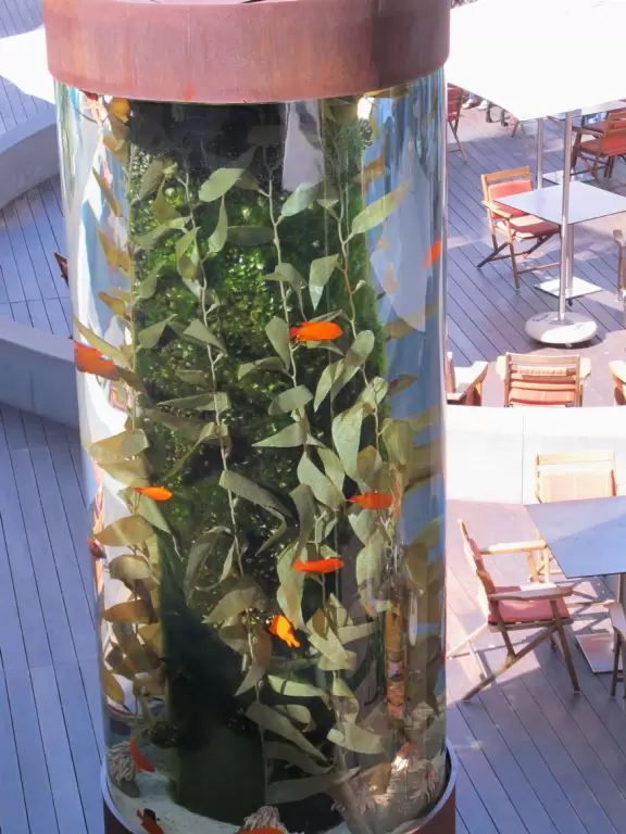 Fantastic outdoor mall with palm trees swishing in the breeze over a hardwood deck and a wood stage with live music on weekends.