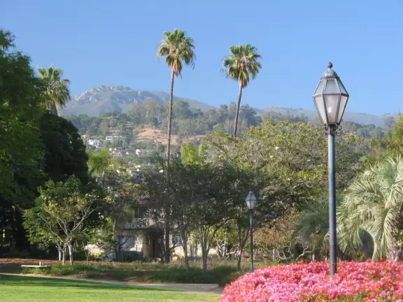 A park of exquisite beauty, with flowering trees and a picnic lawn fronting a pond full of turtles and koi.