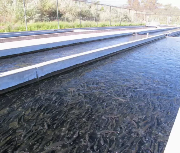 Something about this place makes kids so happy!