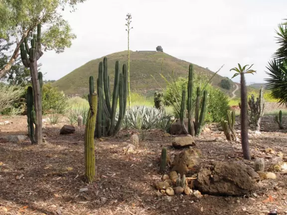 Botanical garden on top of a hill with views all around, cactus garden, colorful wildflowers, and imaginative kid's garden.