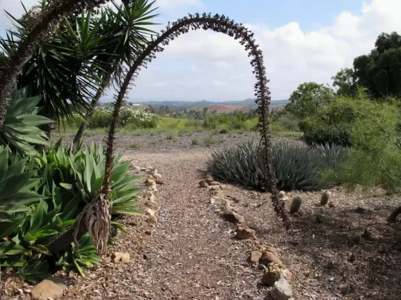 Botanical garden on top of a hill with views all around, cactus garden, colorful wildflowers, and imaginative kid's garden.