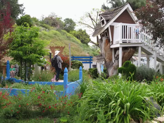 Botanical garden on top of a hill with views all around, cactus garden, colorful wildflowers, and imaginative kid's garden.