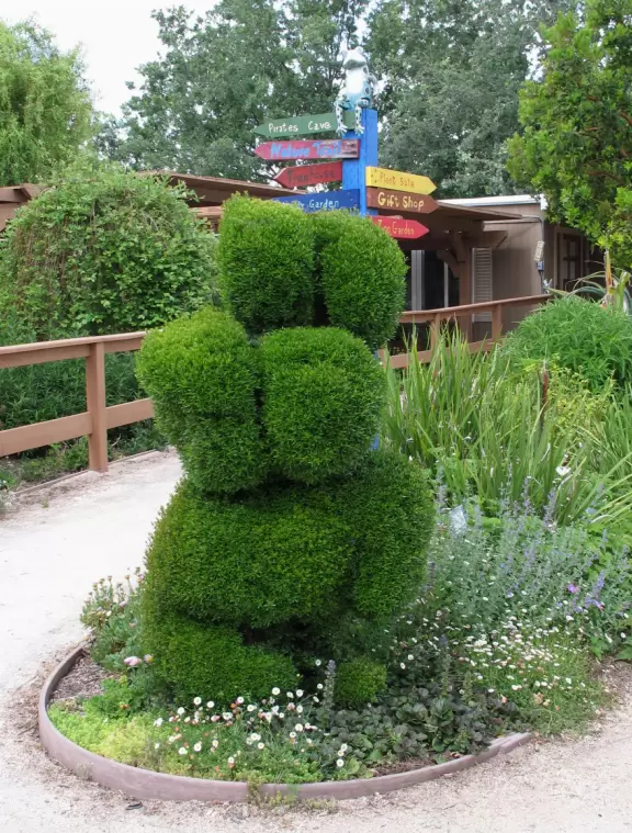 Botanical garden on top of a hill with views all around, cactus garden, colorful wildflowers, and imaginative kid's garden.