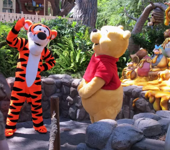 Amusement park, or theme park, where you can be amazed nonstop for 14 hours or more!!